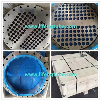 Bride, plaque tubulaire et déflecteur en acier inoxydable F316L