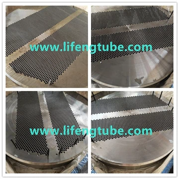 Plaque tubulaire et déflecteur