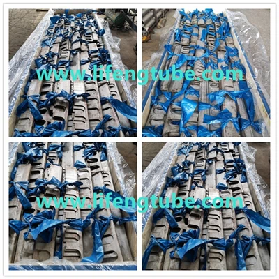 Déflecteurs Laser Inox SA-240 TP304